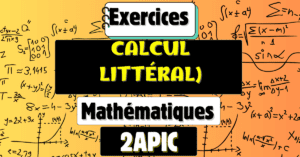 calcul littéral 2apic